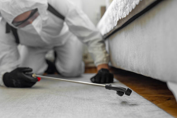 Professional Cockroach Control technician working in Marengo, IL